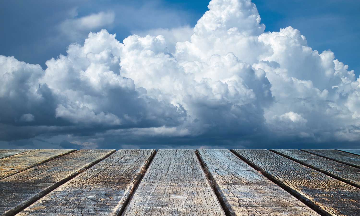 When Are Wood Floors a Bad Idea for Your Home? 6 Ways To Avoid a Real